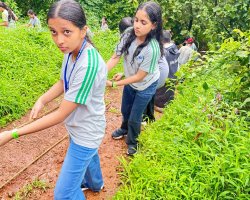 Std VIII Field trip to Forganic farm Khopoli